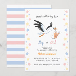 Baby Boy Meisje Ooievaar Geslacht Onthulling Party Kaart
