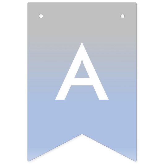 Baby Boy Nagpal Ombre Blue en Silver Banner (Tweede vlag)