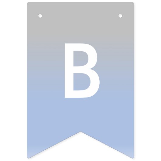 Baby Boy Nagpal Ombre Blue en Silver Banner (Eerste vlag)