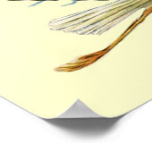 BABY BOY SHOWER, crème Poster (Hoek)