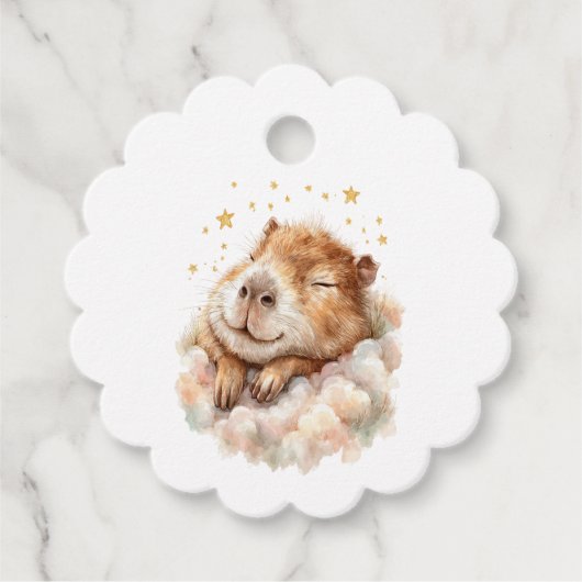 Baby Boy Shower • Cute Capybara Design Bedankjes Labels (Voorkant)