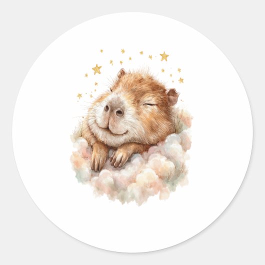 Baby Boy Shower Sticker • Cute Capybara (Voorkant)