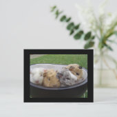 baby briefkaart (Staand voorkant)