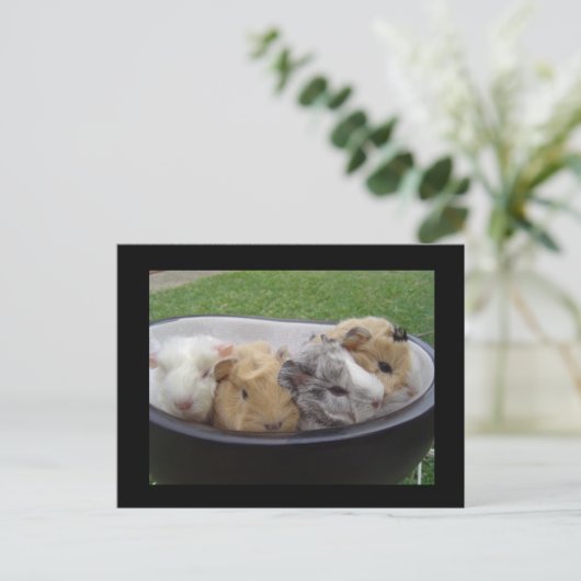 baby briefkaart (Staand voorkant)