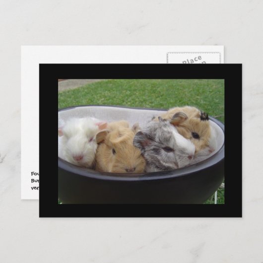 baby briefkaart (Voorkant / Achterkant)