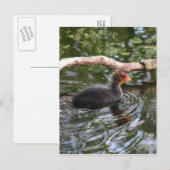 Baby Briefkaart (Voorkant / Achterkant)