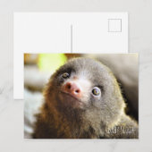 Baby briefkaart (Voorkant / Achterkant)