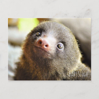 Baby briefkaart