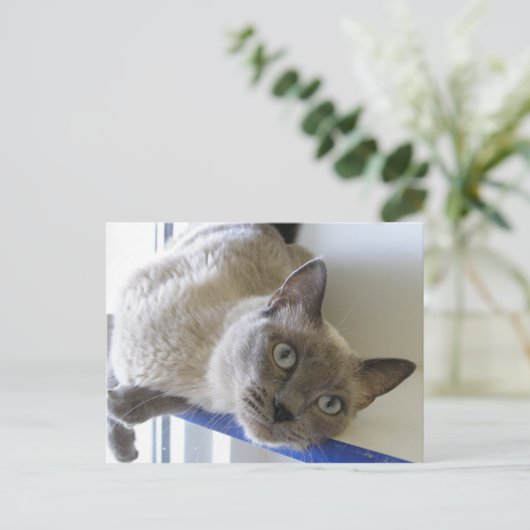 Baby Briefkaart (Staand voorkant)