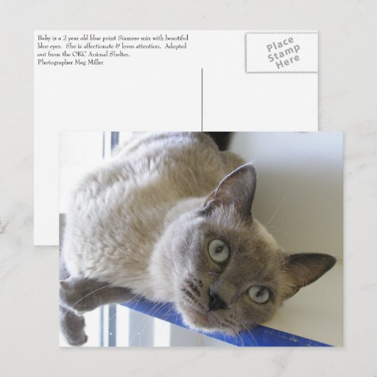 Baby Briefkaart (Voorkant / Achterkant)