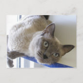 Baby Briefkaart (Voorkant)