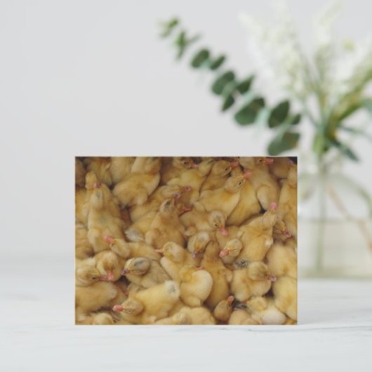 Baby Briefkaart (Staand voorkant)