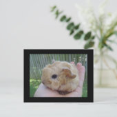 baby briefkaart (Staand voorkant)