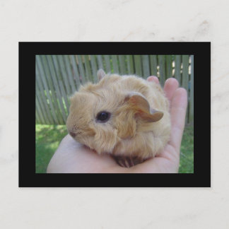 baby briefkaart