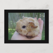 baby briefkaart (Voorkant)