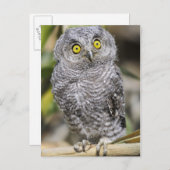 Baby Briefkaart (Voorkant / Achterkant)