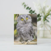 Baby Briefkaart (Staand voorkant)