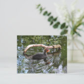 Baby Briefkaart (Staand voorkant)