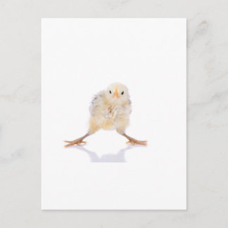 Baby Briefkaart