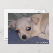 Baby Briefkaart. Briefkaart (Voorkant / Achterkant)