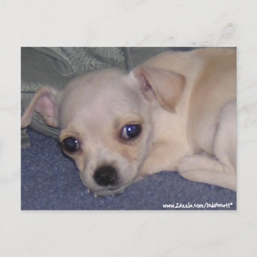 Baby Briefkaart. Briefkaart (Voorkant)