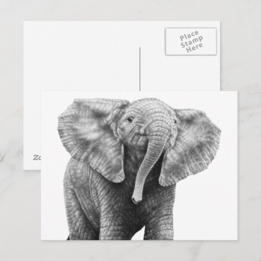 Baby Briefkaart olifant (Voorkant / Achterkant)