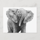 Baby Briefkaart olifant (Voorkant)