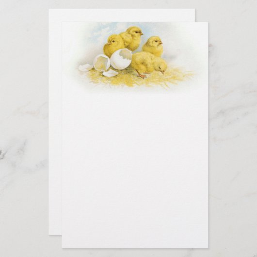  Baby Briefpapier (Voorkant / Achterkant)