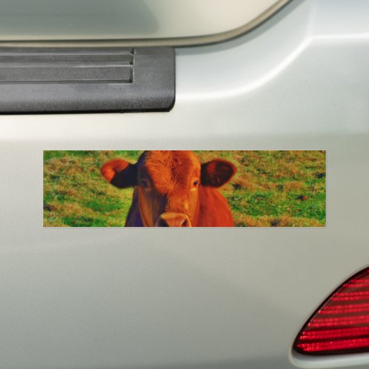 BABY BROEIENDE KOE ETIEN BUMPERSTICKER (Op auto)