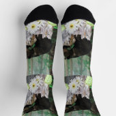 Baby bruin Beer, Sokken van bemanningsleden (Top)