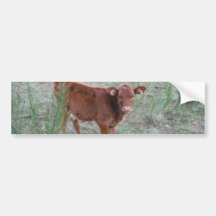 Baby bruine Koe . Bumpersticker