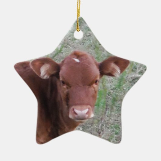 Baby bruine Koe Keramisch Ornament (Voorkant)