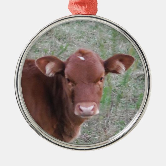 Baby bruine Koe Metalen Ornament (Voorkant)