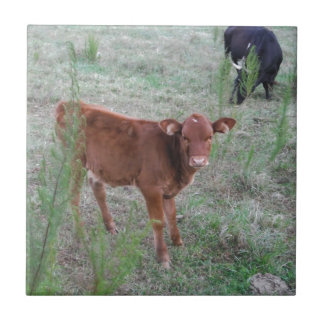 Baby bruine Koe . Tegeltje