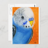 Baby Budgie Briefkaart (Voorkant / Achterkant)