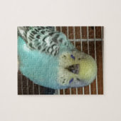 Baby budgie legpuzzel (Horizontaal)