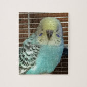 Baby budgie legpuzzel (Verticaal)