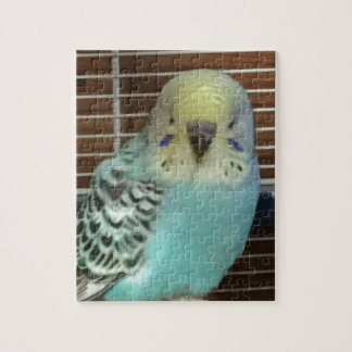 Baby budgie legpuzzel
