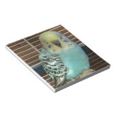 Baby budgie notitieblok (Schuin)