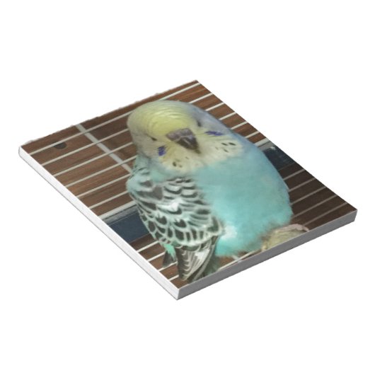 Baby budgie notitieblok (Schuin)