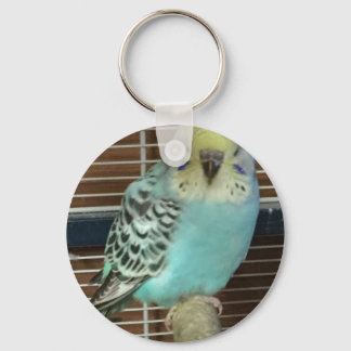 Baby budgie sleutelhanger