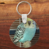 Baby budgie sleutelhanger (Voorkant)