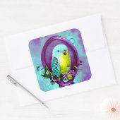 Baby Budgie Vierkante Sticker (Envelop)