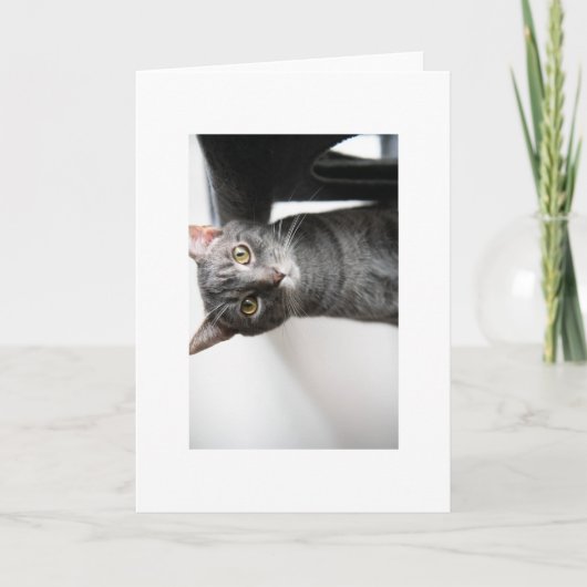 Baby Bug Kaart (Voorkant)