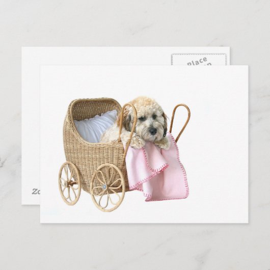 Baby-buggy Briefkaart (Voorkant / Achterkant)