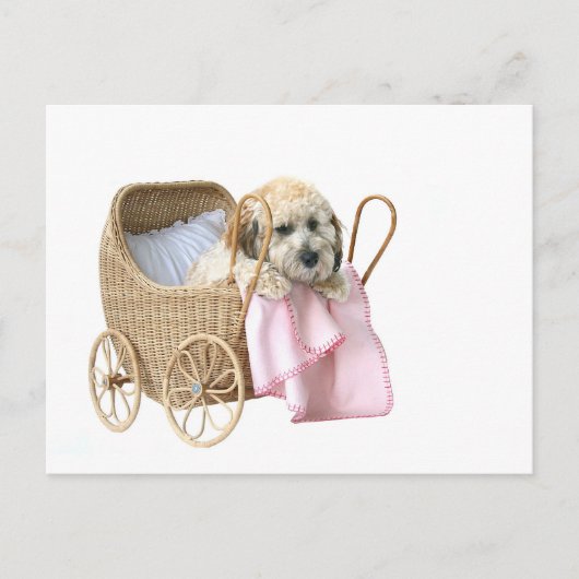 Baby-buggy Briefkaart (Voorkant)