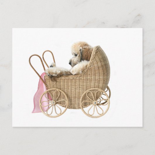 Baby-buggy Briefkaart (Voorkant)