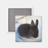 Baby Bun Magnet - Kleine Magoo (Voorkant / Achterkant)