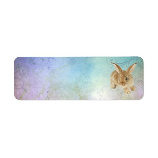 BABY BUNNY ADRESETIKETTEN ETIKET (Voorkant)