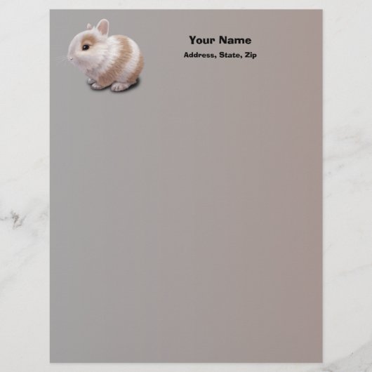 Baby Bunny Briefhoofd Ontwerp (Voorkant)